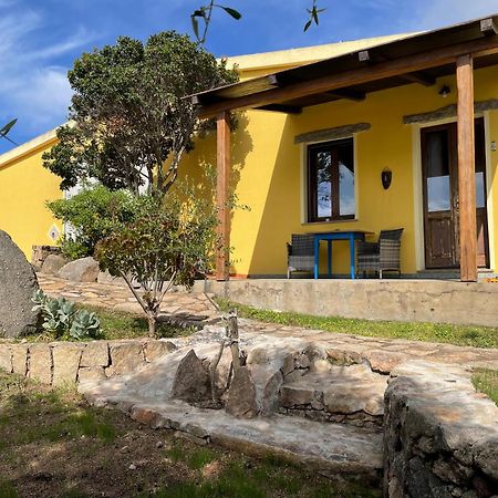Agriturismo Campesi Casale Tra Le Vigne Альєнту Екстер'єр фото