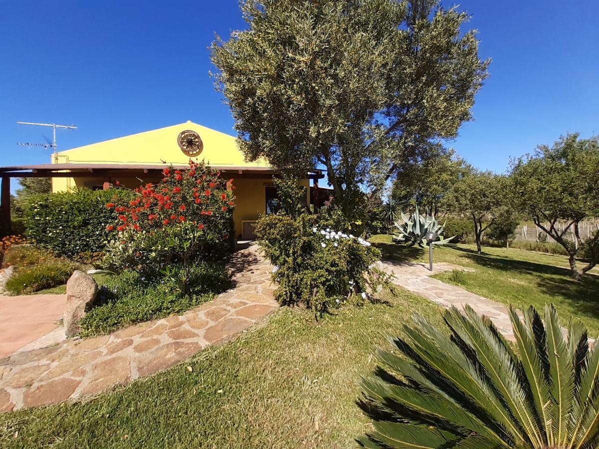 Agriturismo Campesi Casale Tra Le Vigne Альєнту Екстер'єр фото
