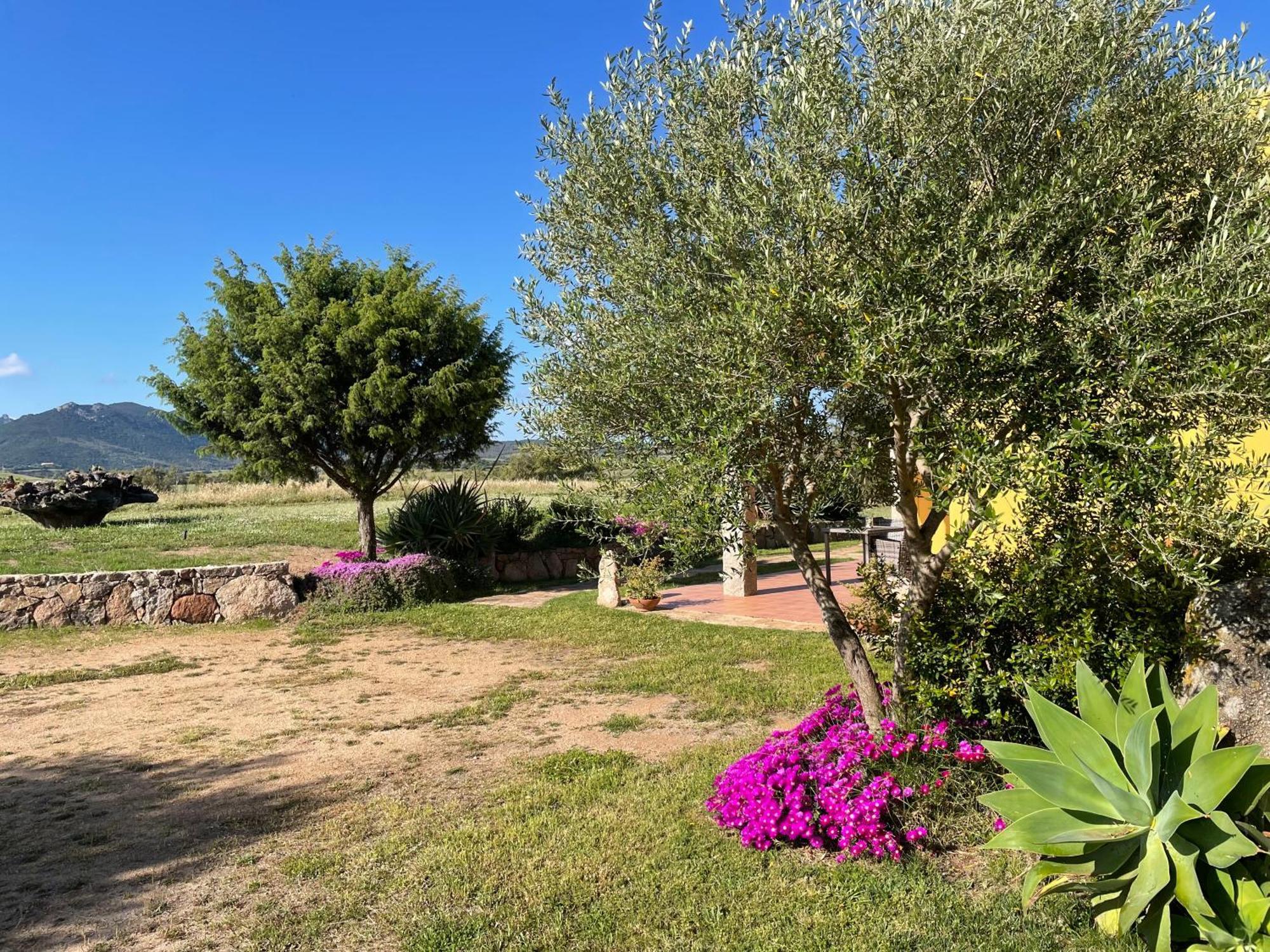 Agriturismo Campesi Casale Tra Le Vigne Альєнту Екстер'єр фото