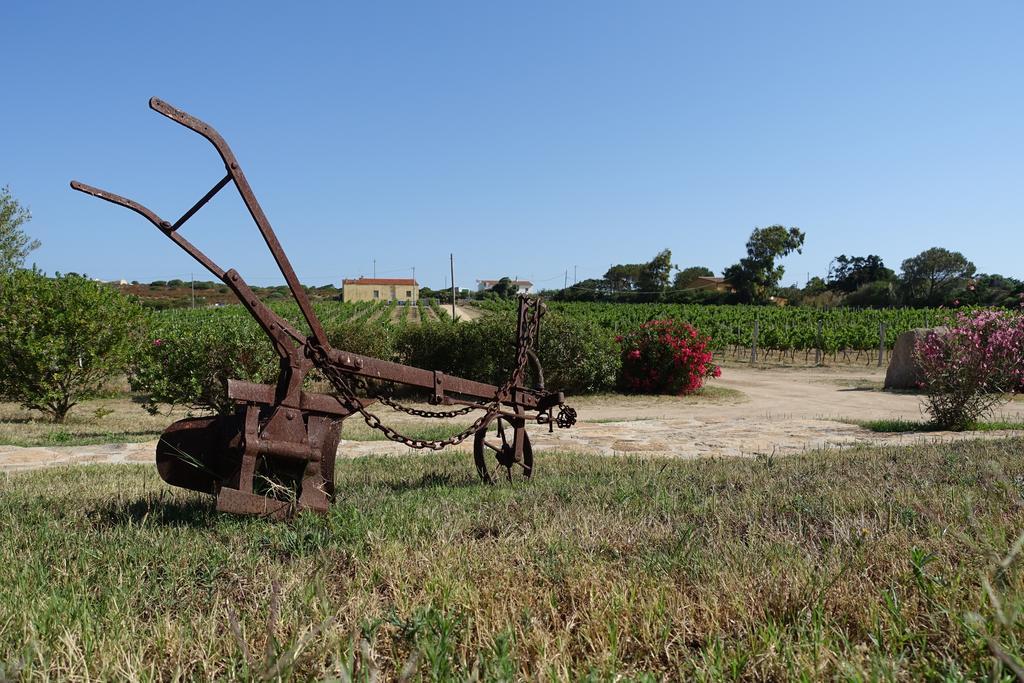 Agriturismo Campesi Casale Tra Le Vigne Альєнту Екстер'єр фото
