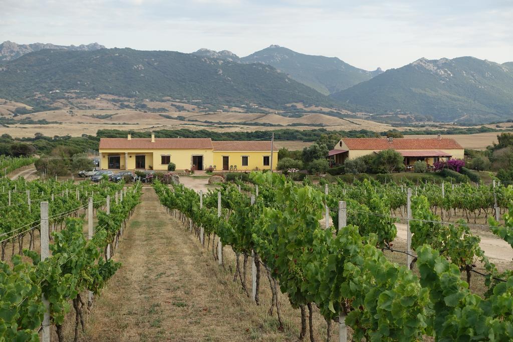 Agriturismo Campesi Casale Tra Le Vigne Альєнту Екстер'єр фото