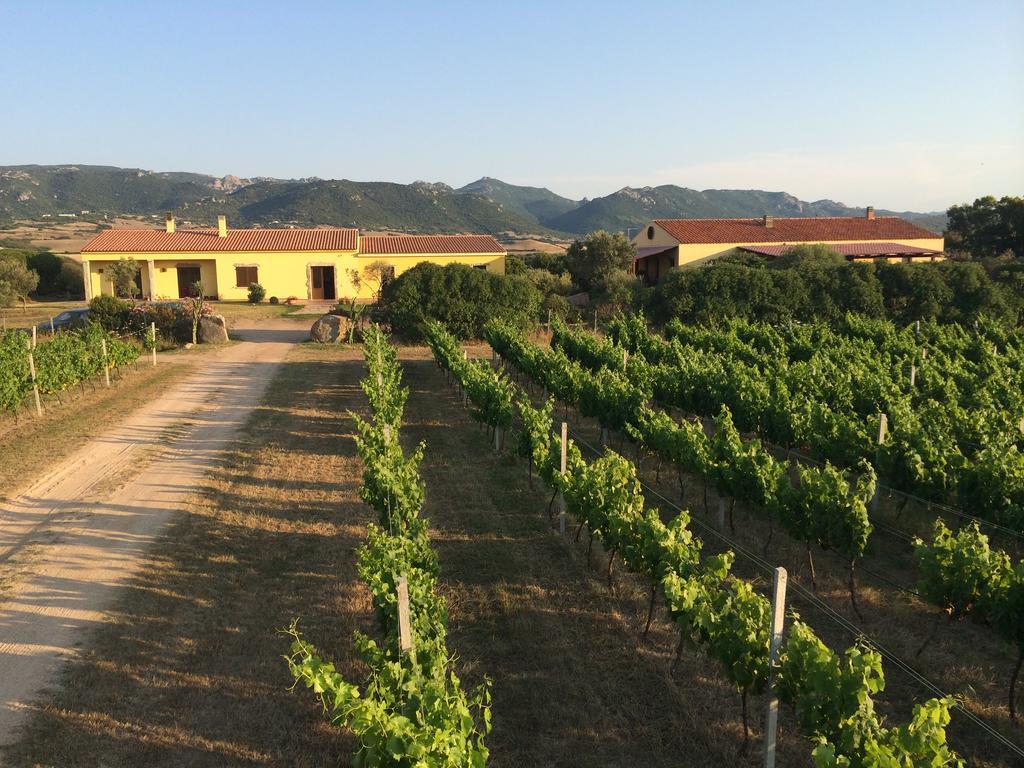 Agriturismo Campesi Casale Tra Le Vigne Альєнту Екстер'єр фото