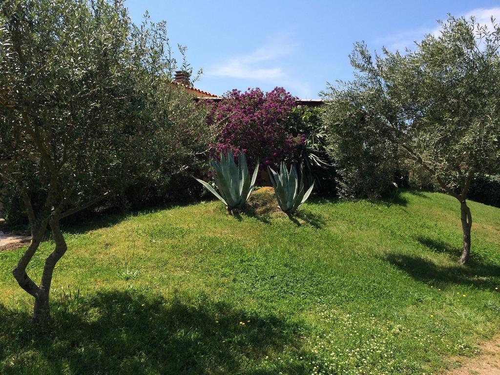 Agriturismo Campesi Casale Tra Le Vigne Альєнту Екстер'єр фото