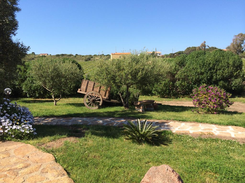 Agriturismo Campesi Casale Tra Le Vigne Альєнту Екстер'єр фото
