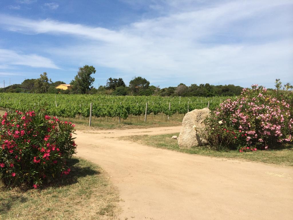 Agriturismo Campesi Casale Tra Le Vigne Альєнту Екстер'єр фото