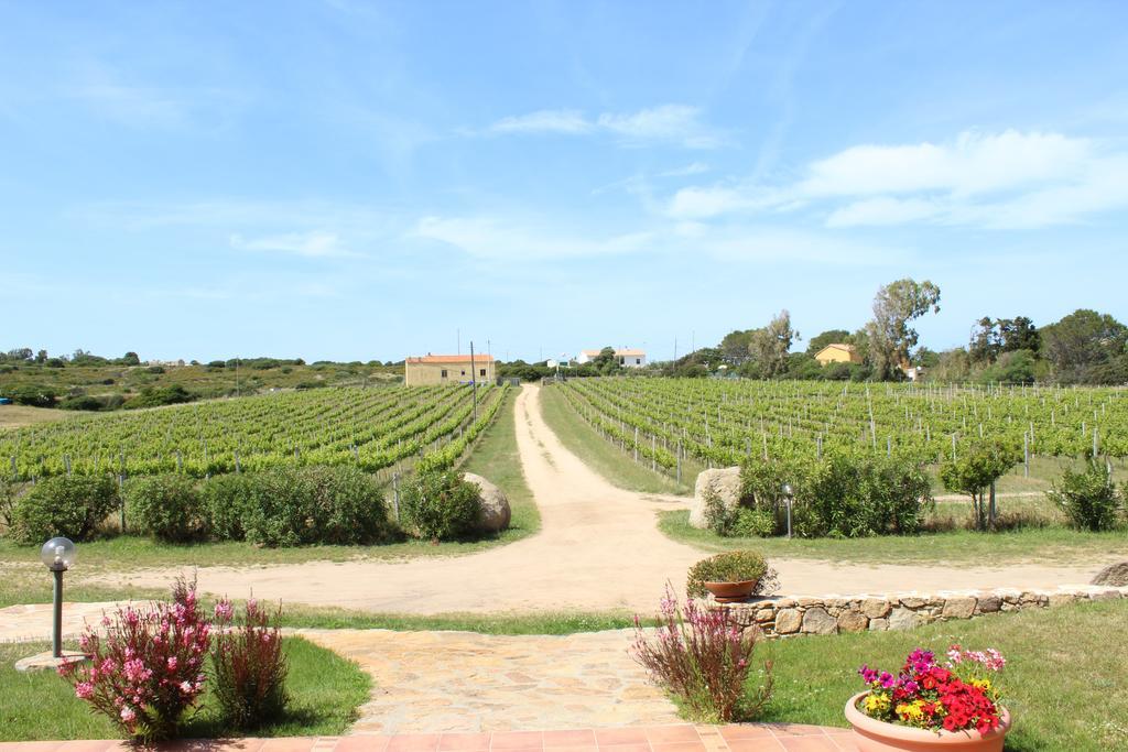 Agriturismo Campesi Casale Tra Le Vigne Альєнту Екстер'єр фото