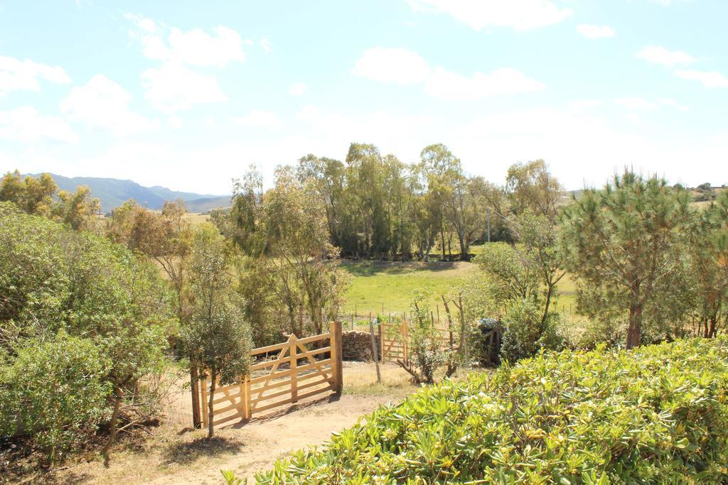 Agriturismo Campesi Casale Tra Le Vigne Альєнту Екстер'єр фото