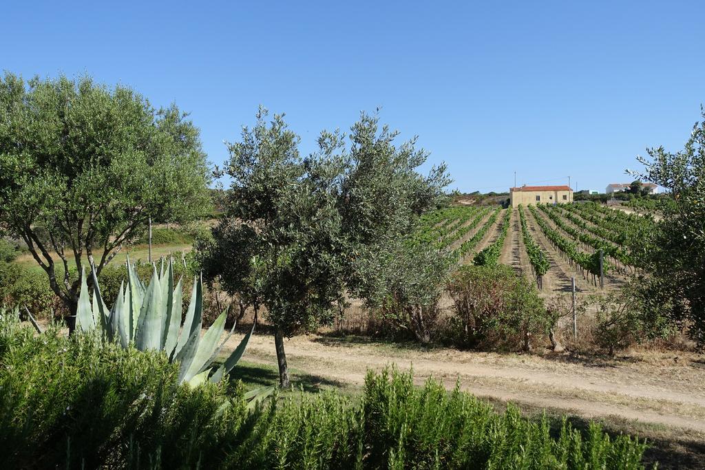 Agriturismo Campesi Casale Tra Le Vigne Альєнту Екстер'єр фото