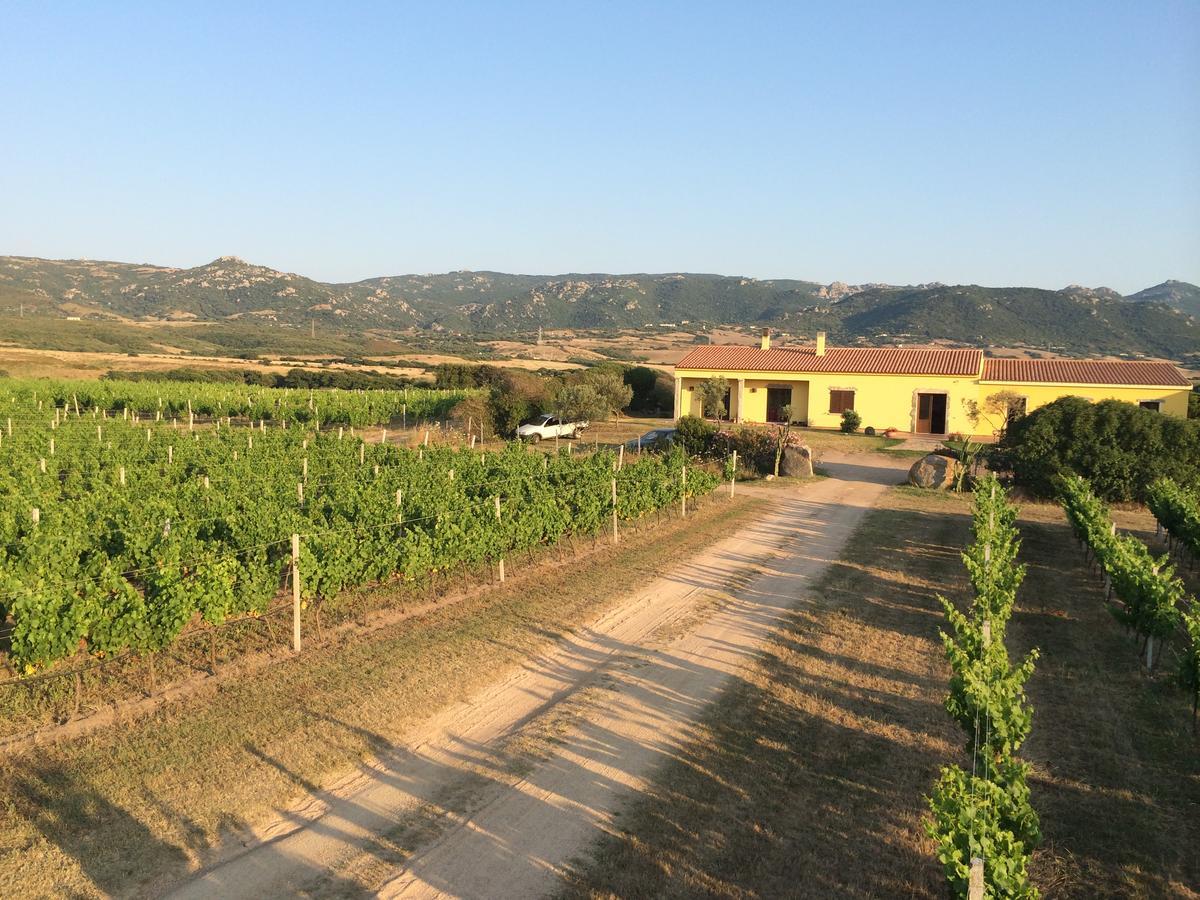 Agriturismo Campesi Casale Tra Le Vigne Альєнту Екстер'єр фото