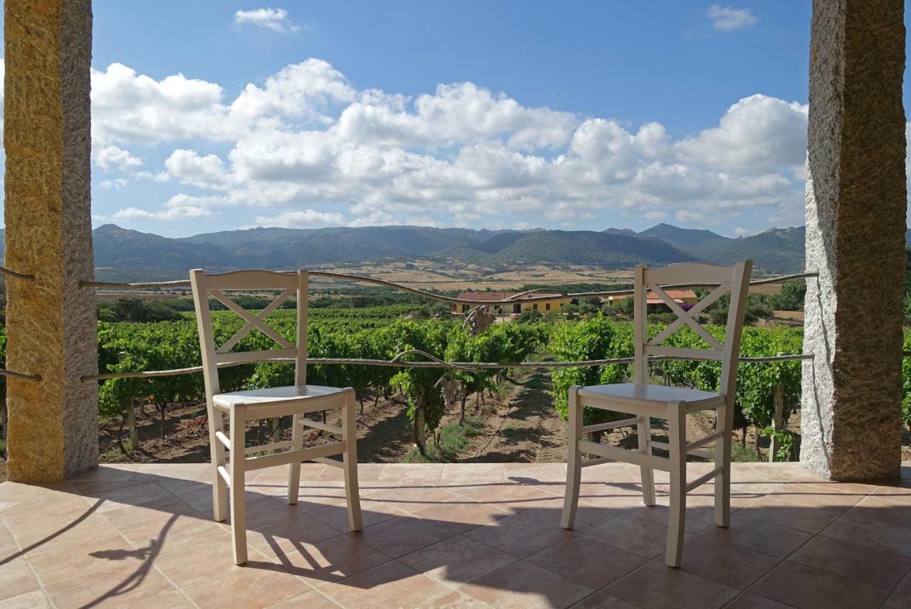 Agriturismo Campesi Casale Tra Le Vigne Альєнту Екстер'єр фото