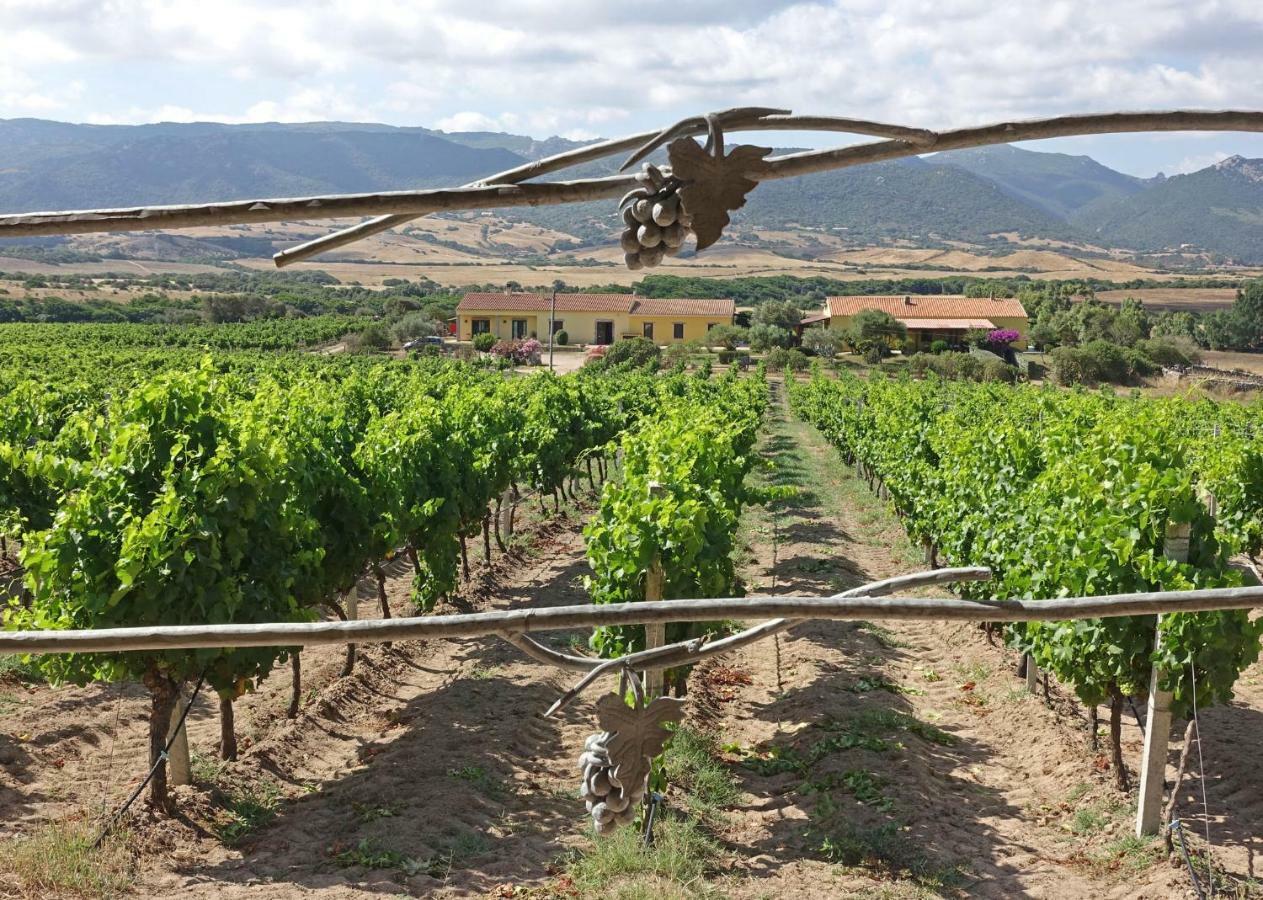 Agriturismo Campesi Casale Tra Le Vigne Альєнту Екстер'єр фото