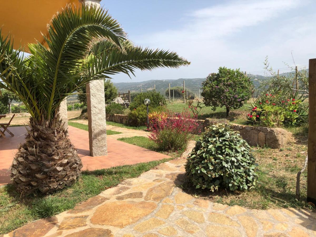 Agriturismo Campesi Casale Tra Le Vigne Альєнту Екстер'єр фото